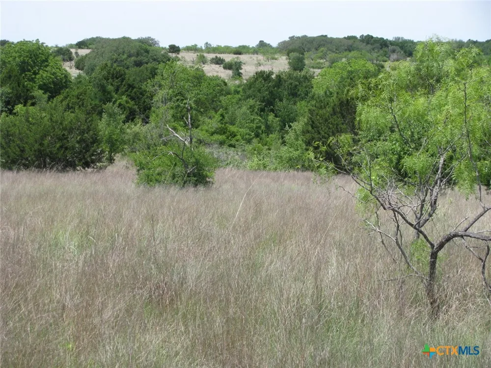 FM 2842 Hamilton, TX 76531