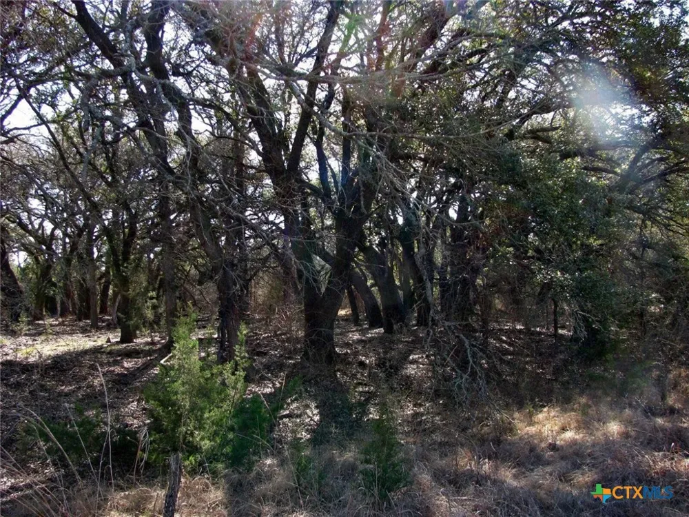 FM 2842 Hamilton, TX 76531