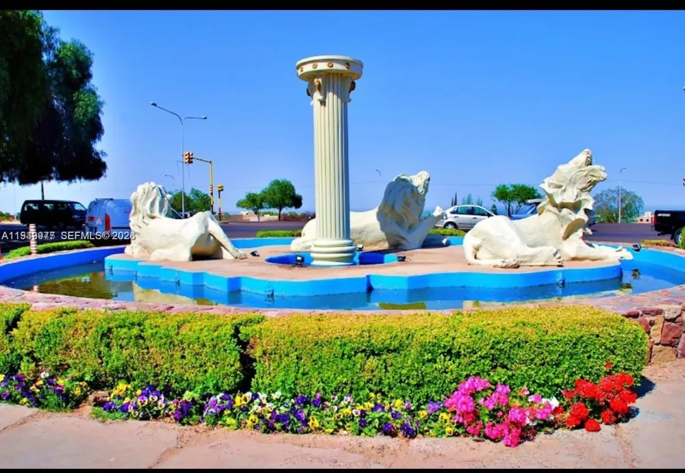 706 Cerro Leon Negro Mendoza,Argentina Other Country - Not In USA, M 5500