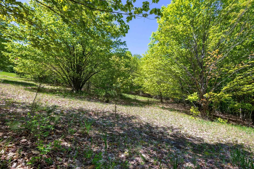 3100 Warren Road Benzonia Township, MI 49617
