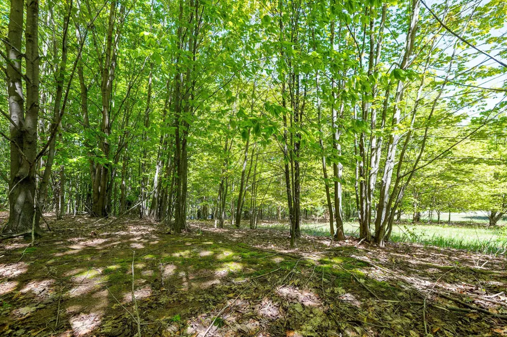 3100 Warren Road Benzonia Township, MI 49617