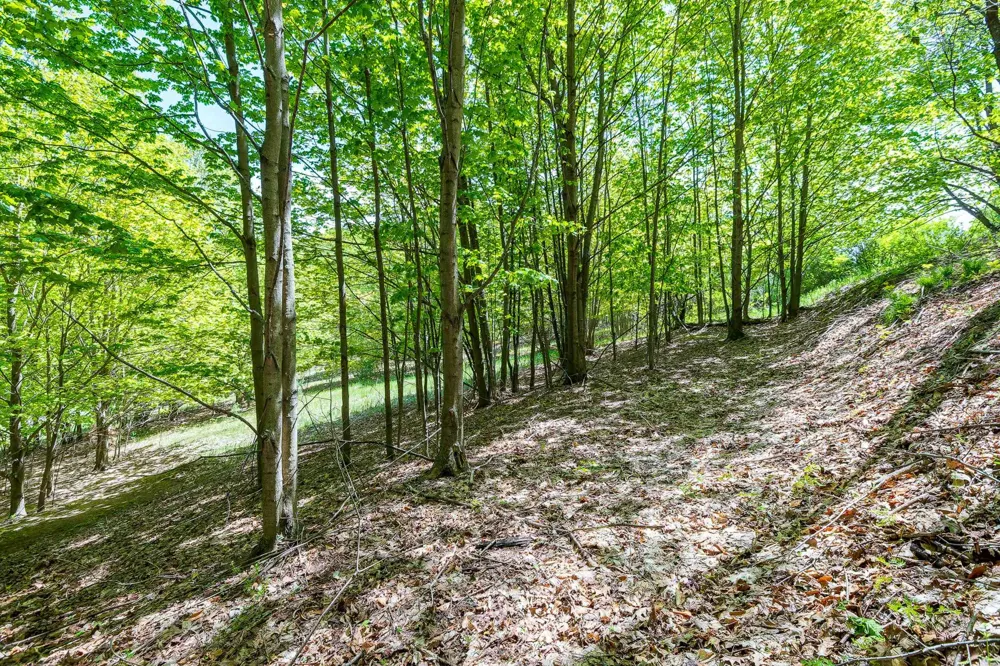 3100 Warren Road Benzonia Township, MI 49617