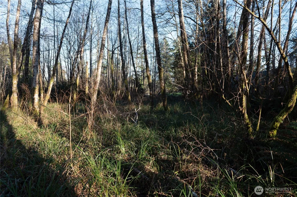 0 W Newell Avenue Westport, WA 98595