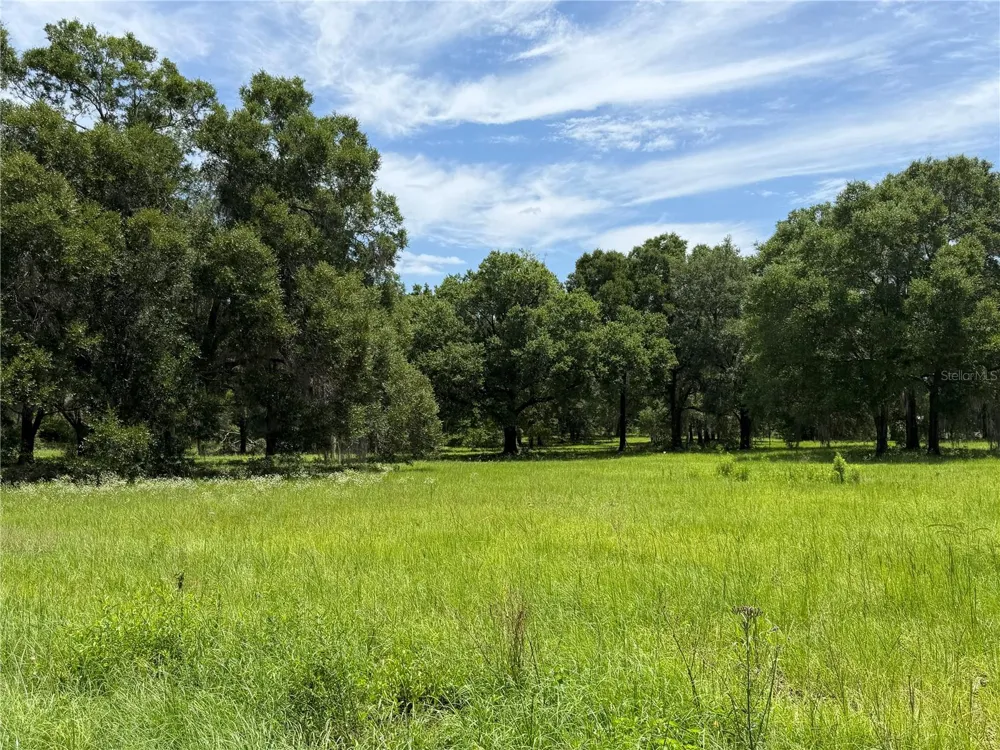 TBD NW 329 Reddick, FL 32686