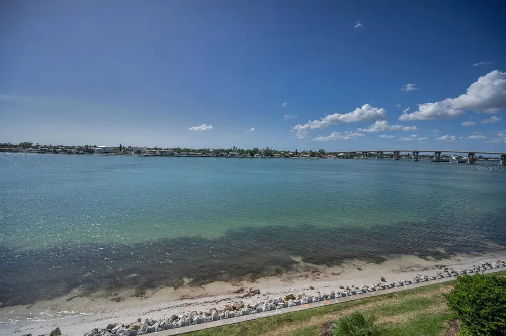 6085 BAHIA DEL MAR CIRCLE #467 St Petersburg, FL 33715