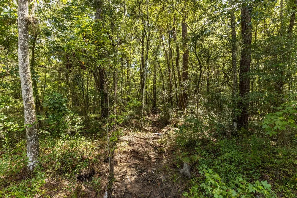 10971 SW 8TH AVENUE Gainesville, FL 32607