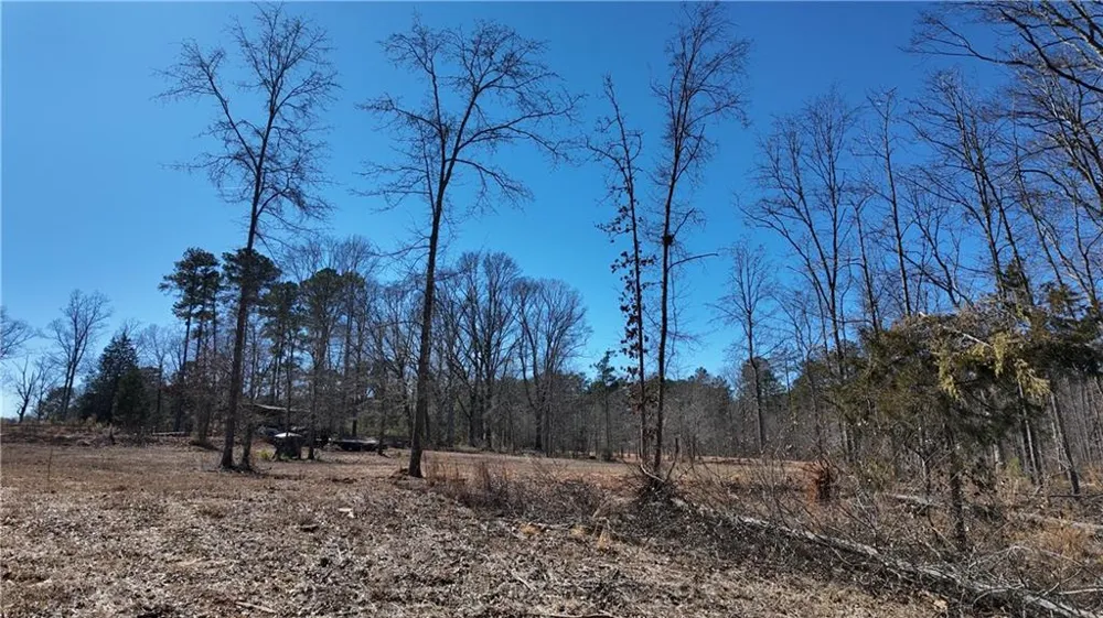 725 Old Jackson Rd McDonough, GA 30252