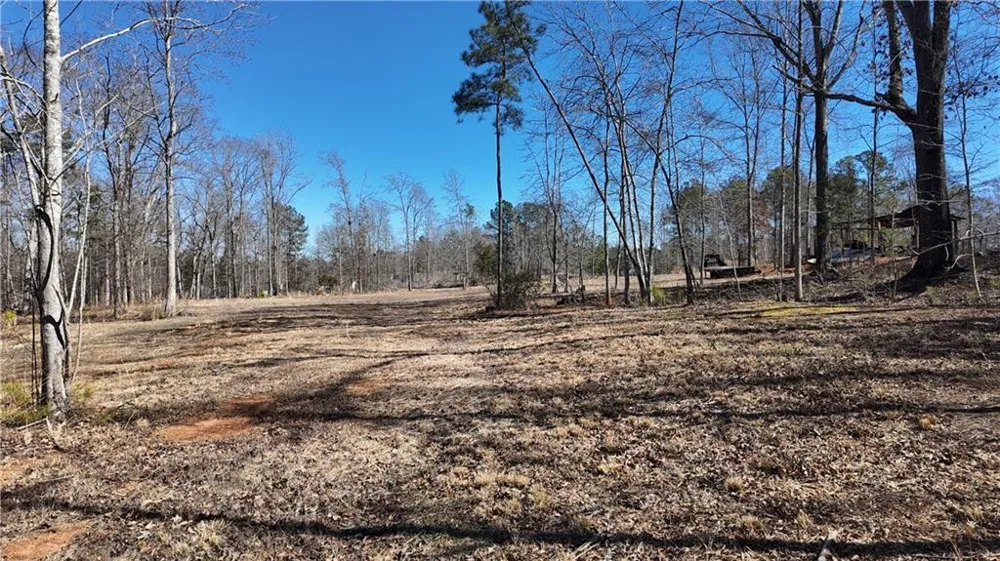 725 Old Jackson Rd McDonough, GA 30252