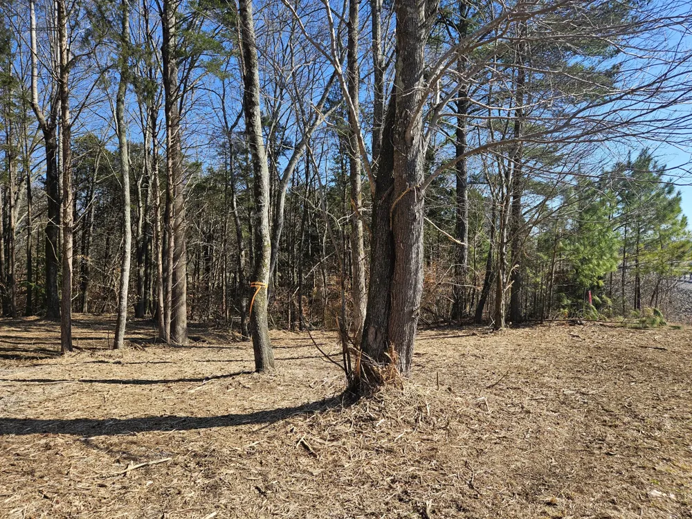 0 Hwy 70 S Woodbury, TN 37190