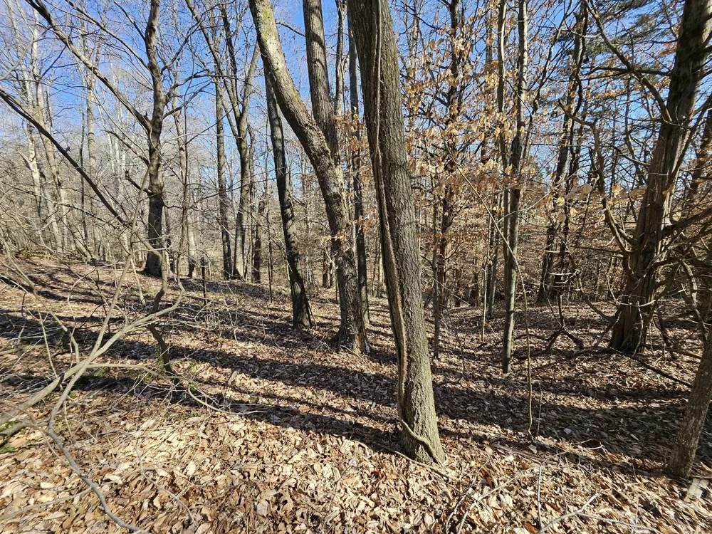 0 Hwy 70 S Woodbury, TN 37190