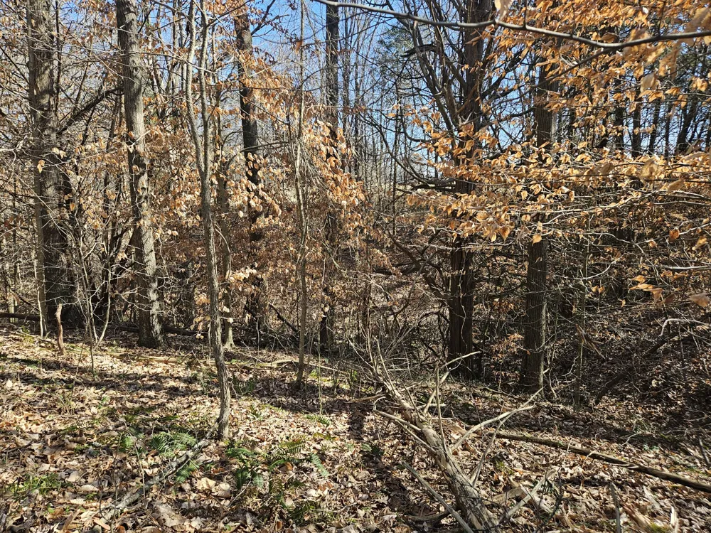 0 Hwy 70 S Woodbury, TN 37190