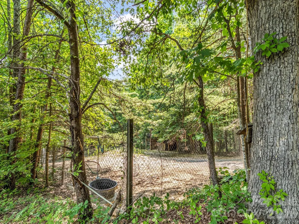 156 Carpenters Knob Drive Lawndale, NC 28090