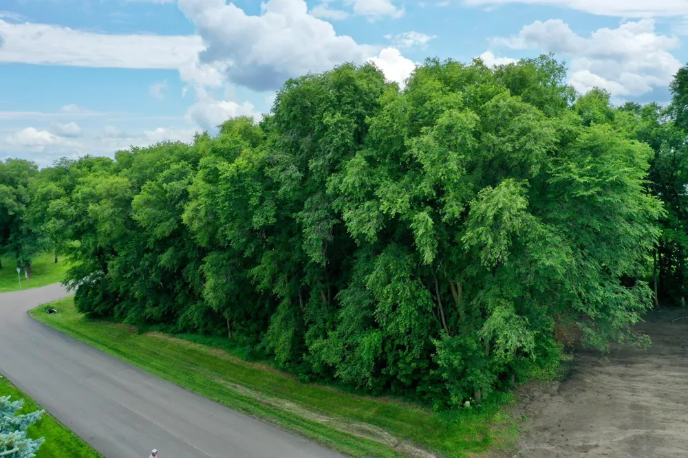 TBD 161st Avenue NE New London, MN 56273