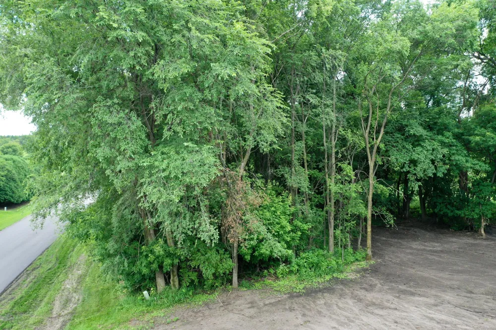 TBD 161st Avenue NE New London, MN 56273