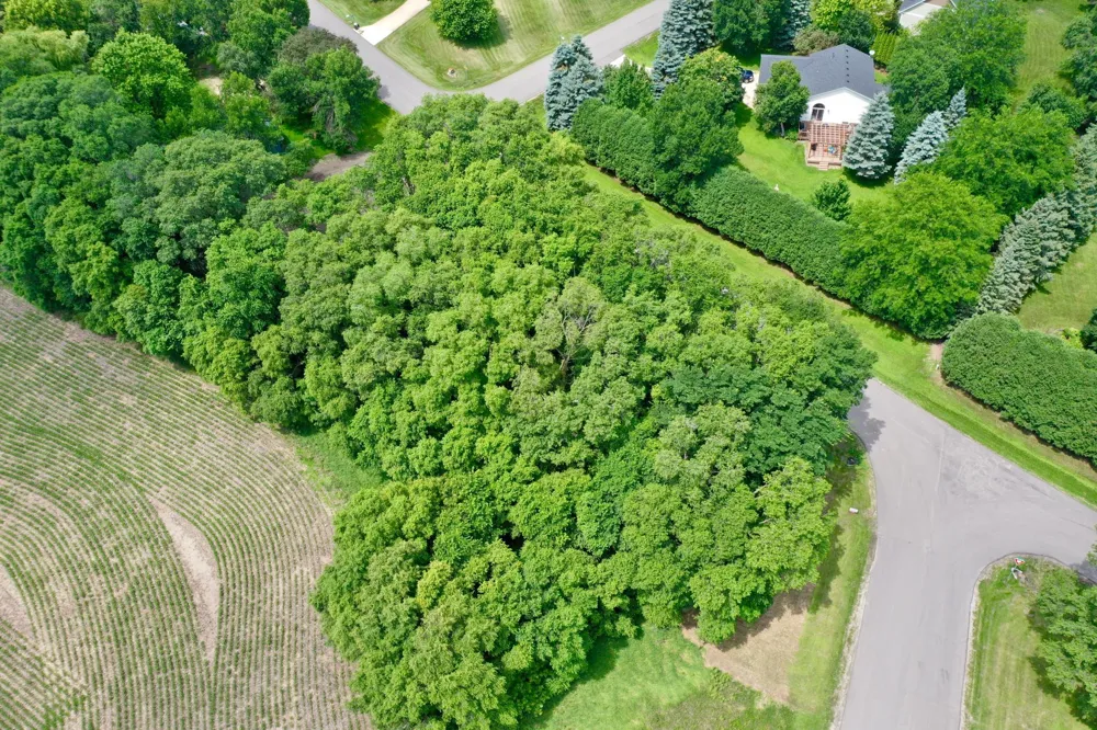 TBD 161st Avenue NE New London, MN 56273
