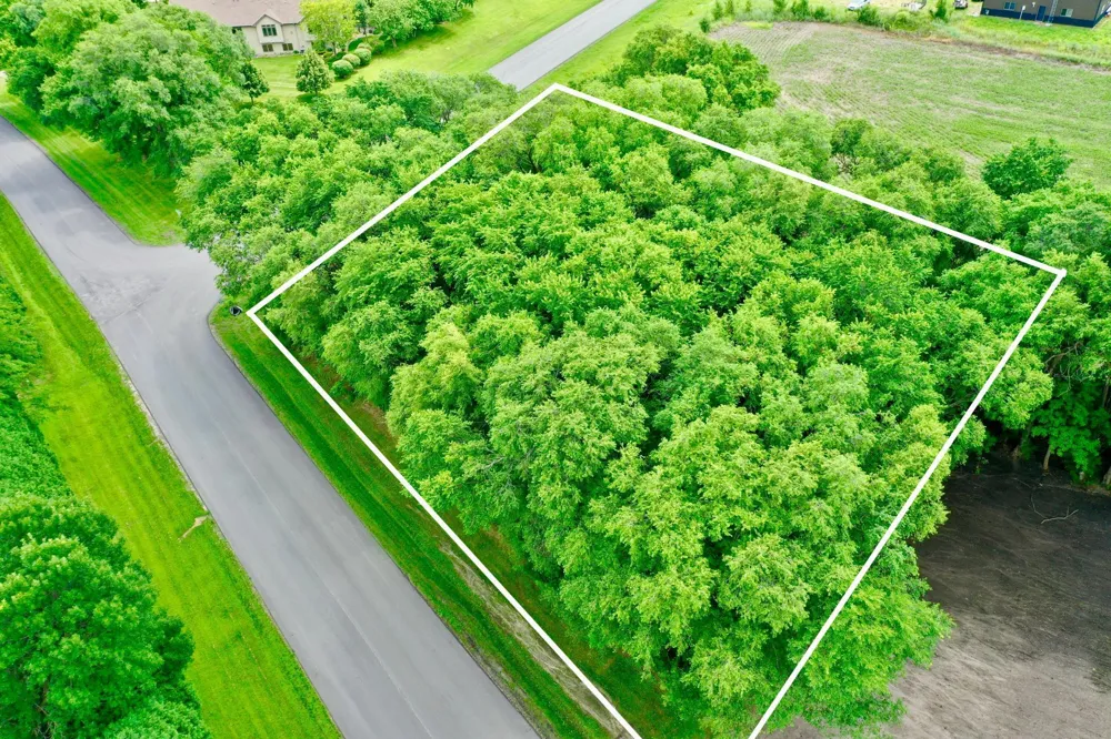 TBD 161st Avenue NE New London, MN 56273
