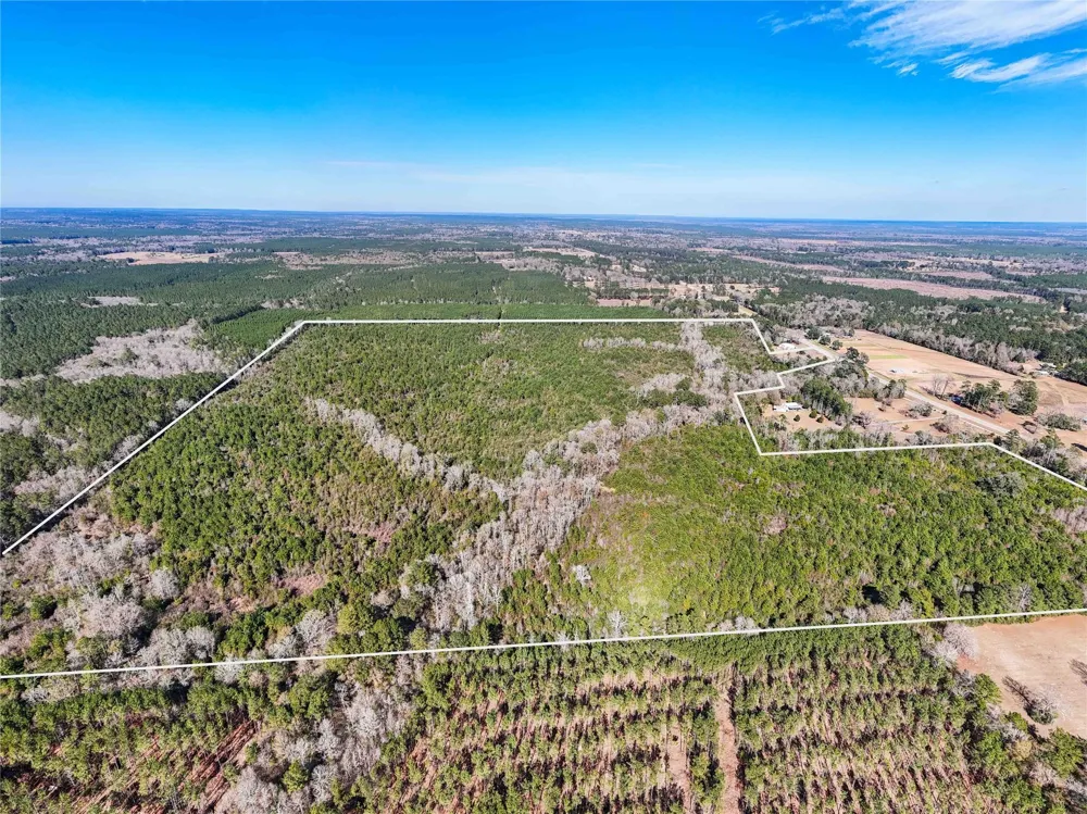 15184 Fm 92 Spurger, TX 77660