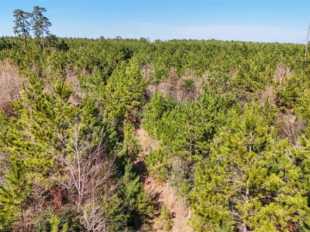 15184 Fm 92 Spurger, TX 77660