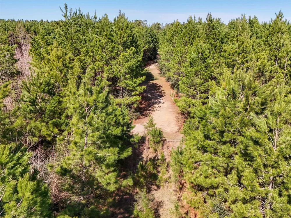 15184 Fm 92 Spurger, TX 77660
