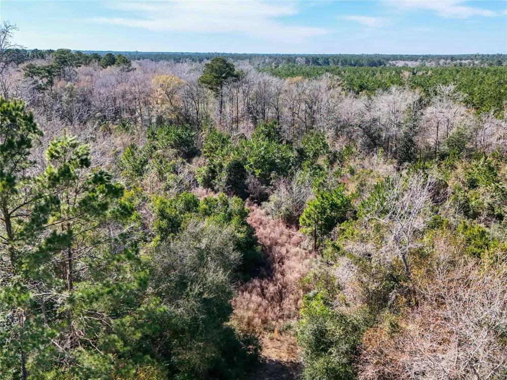15184 Fm 92 Spurger, TX 77660