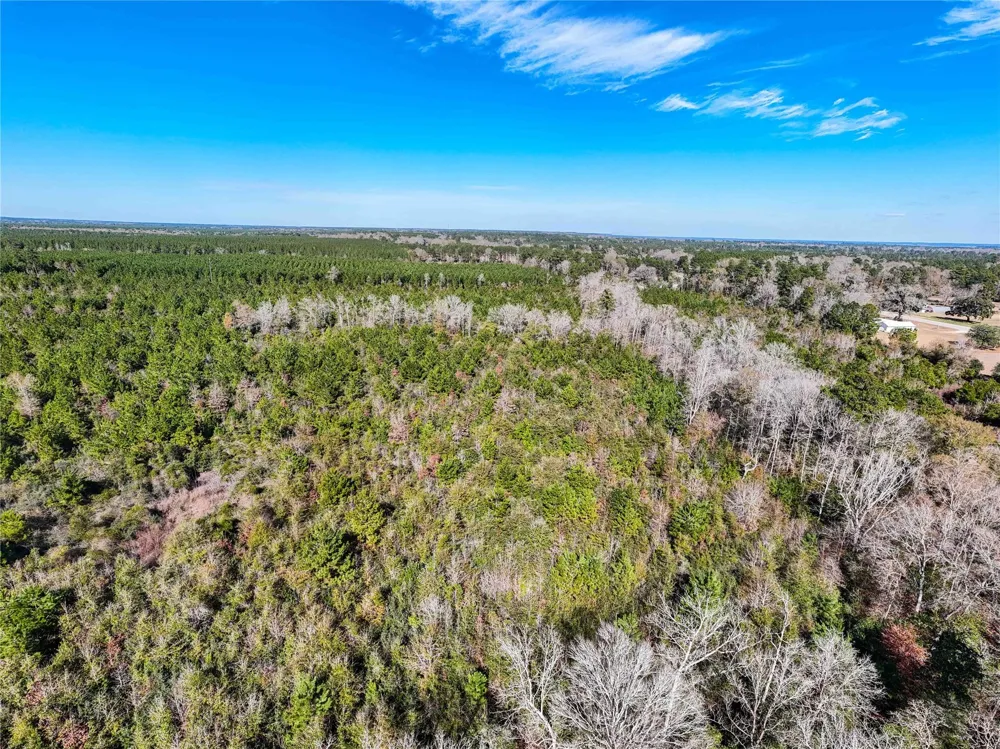 15184 Fm 92 Spurger, TX 77660