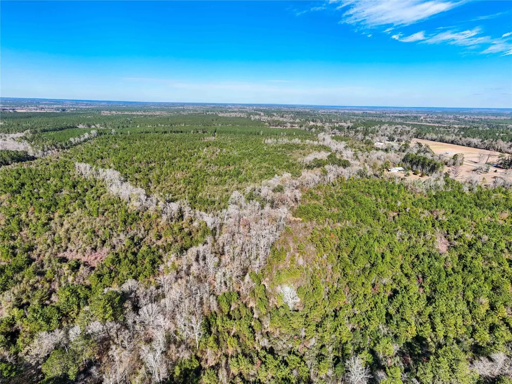 15184 Fm 92 Spurger, TX 77660