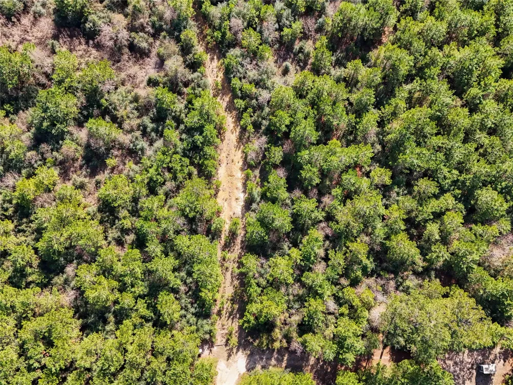 15184 Fm 92 Spurger, TX 77660