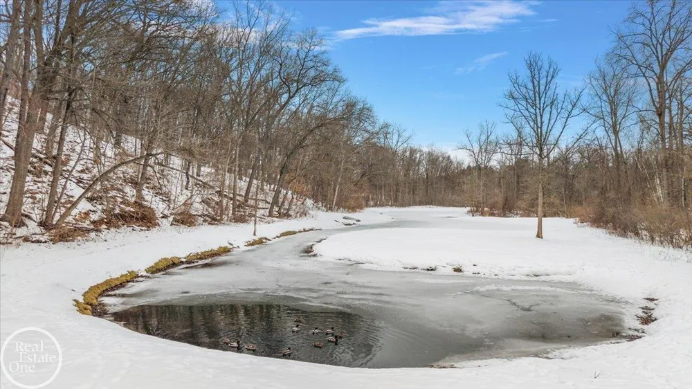 3750 Orion Road Oakland Charter Township, MI 48363