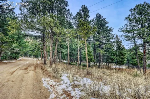 Rock Ridge Road