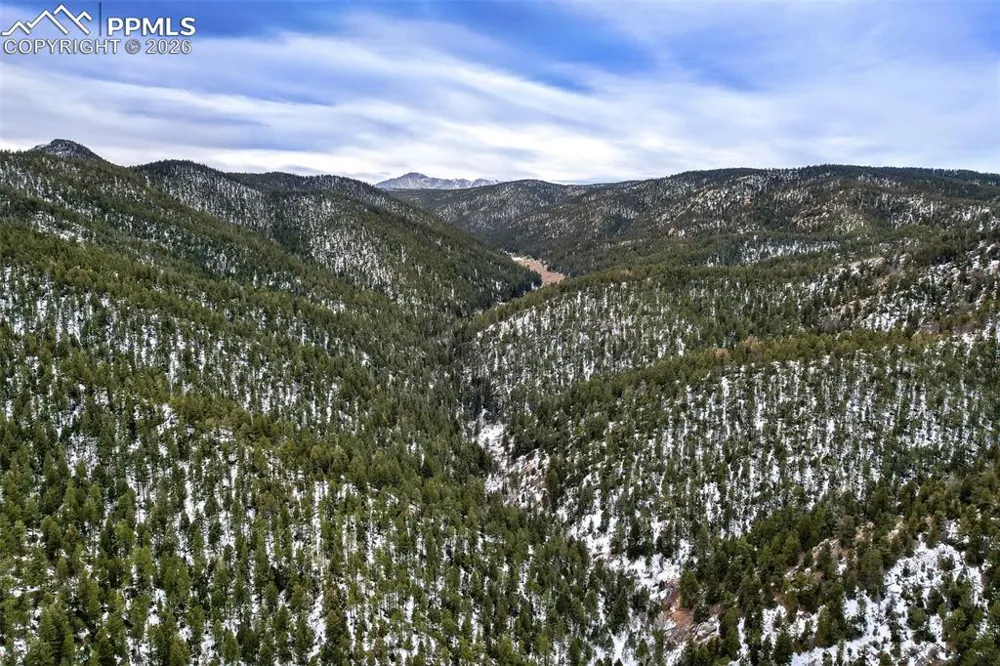 Rock Ridge Road Palmer Lake, CO 80133
