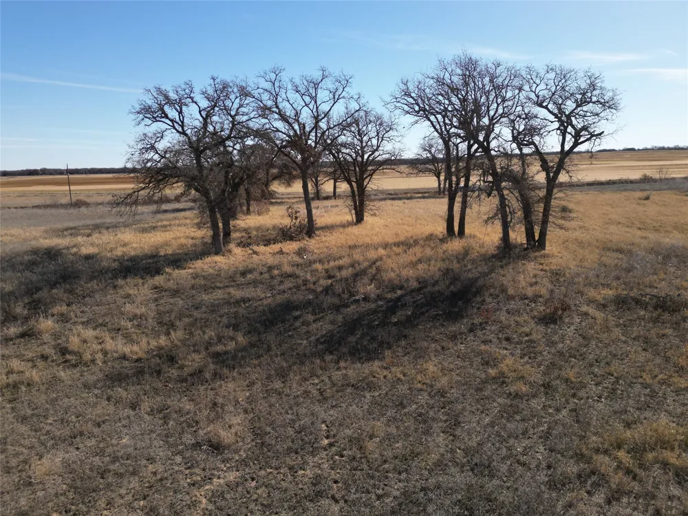 1235 County Road 226 Rising Star, TX 76471