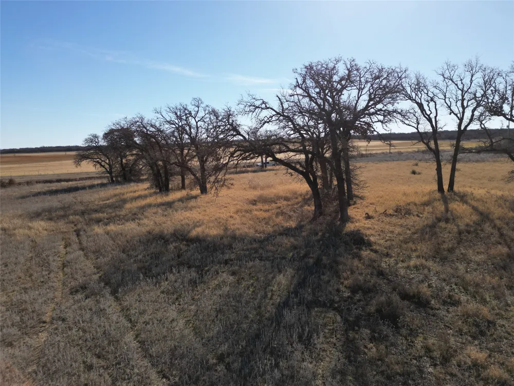 1235 County Road 226 Rising Star, TX 76471