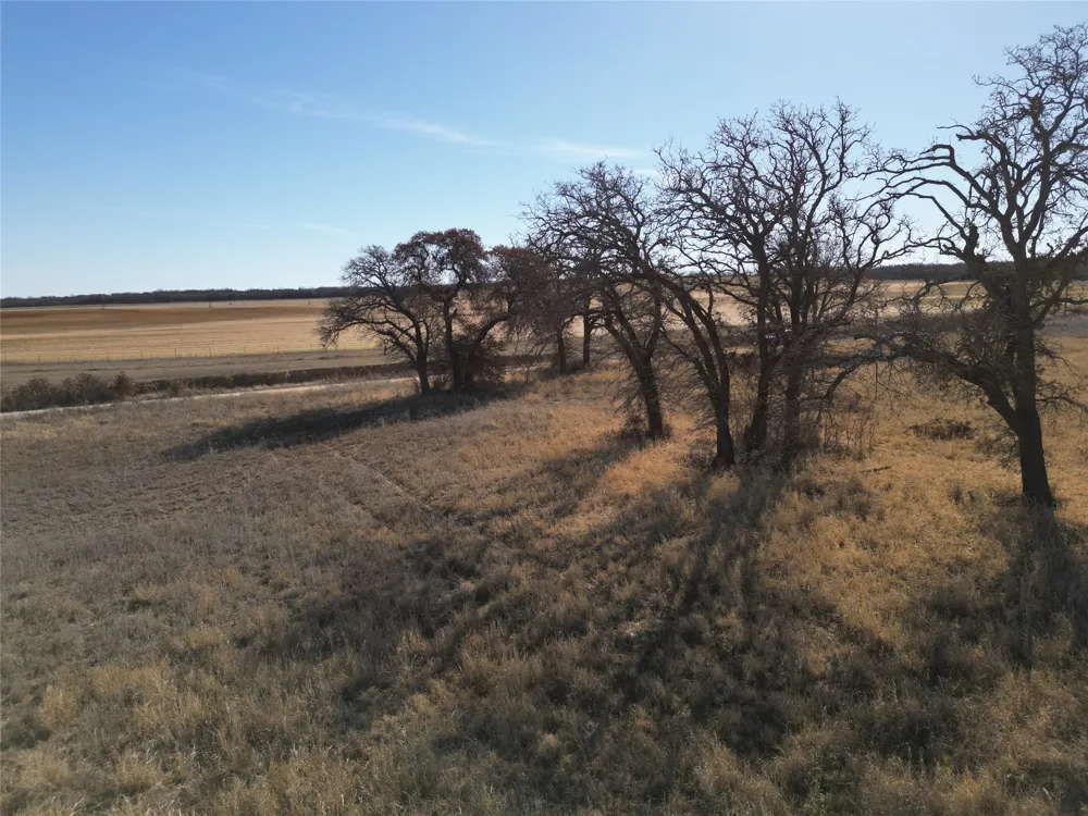 1235 County Road 226 Rising Star, TX 76471