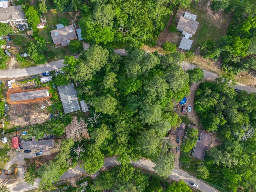 Forest Hill Drive Frankston, TX 75763