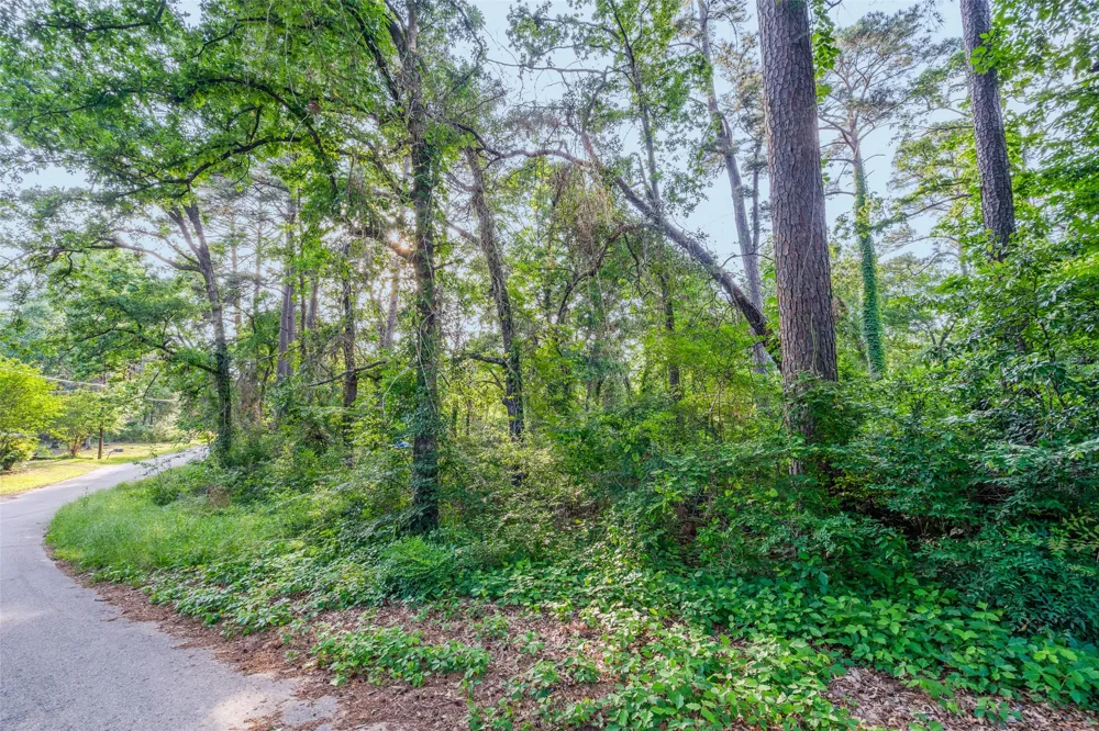 Forest Hill Drive Frankston, TX 75763