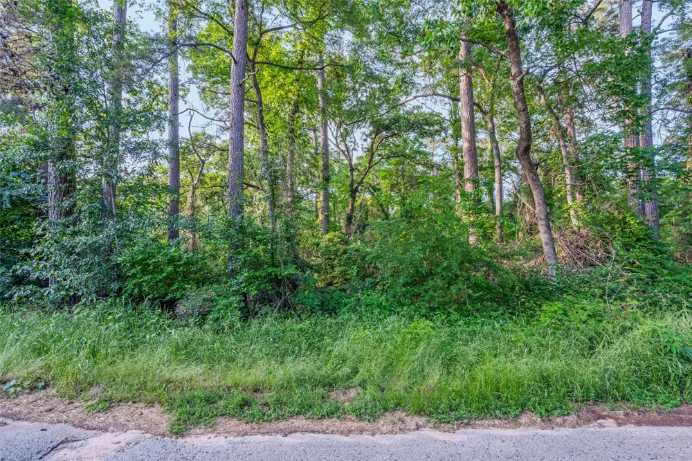 Forest Hill Drive Frankston, TX 75763