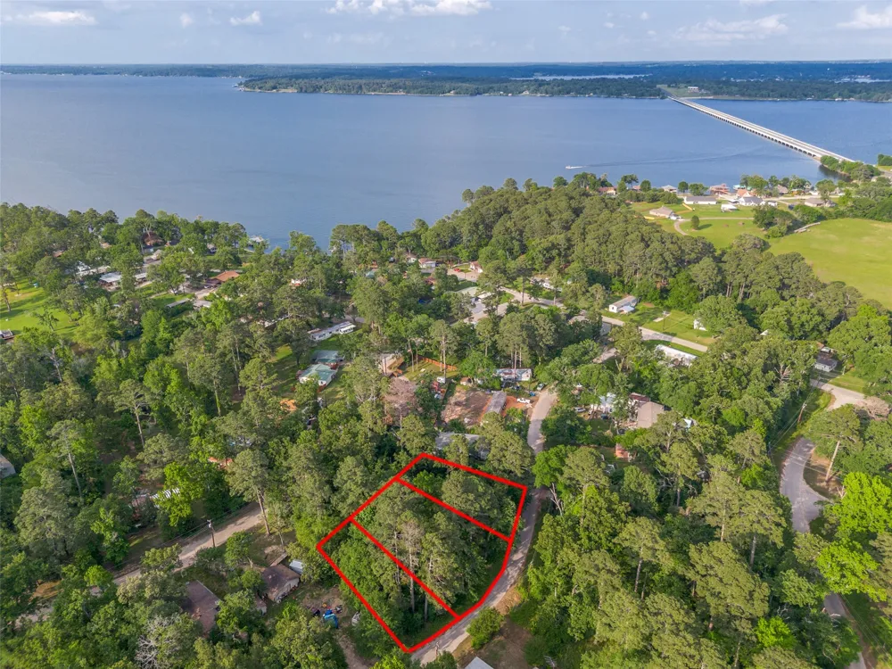Forest Hill Drive Frankston, TX 75763