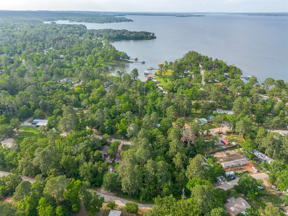 Forest Hill Drive Frankston, TX 75763