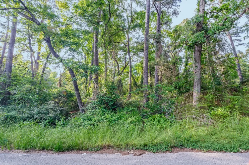 Forest Hill Drive Frankston, TX 75763