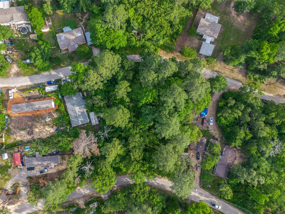 Forest Hill Drive Frankston, TX 75763