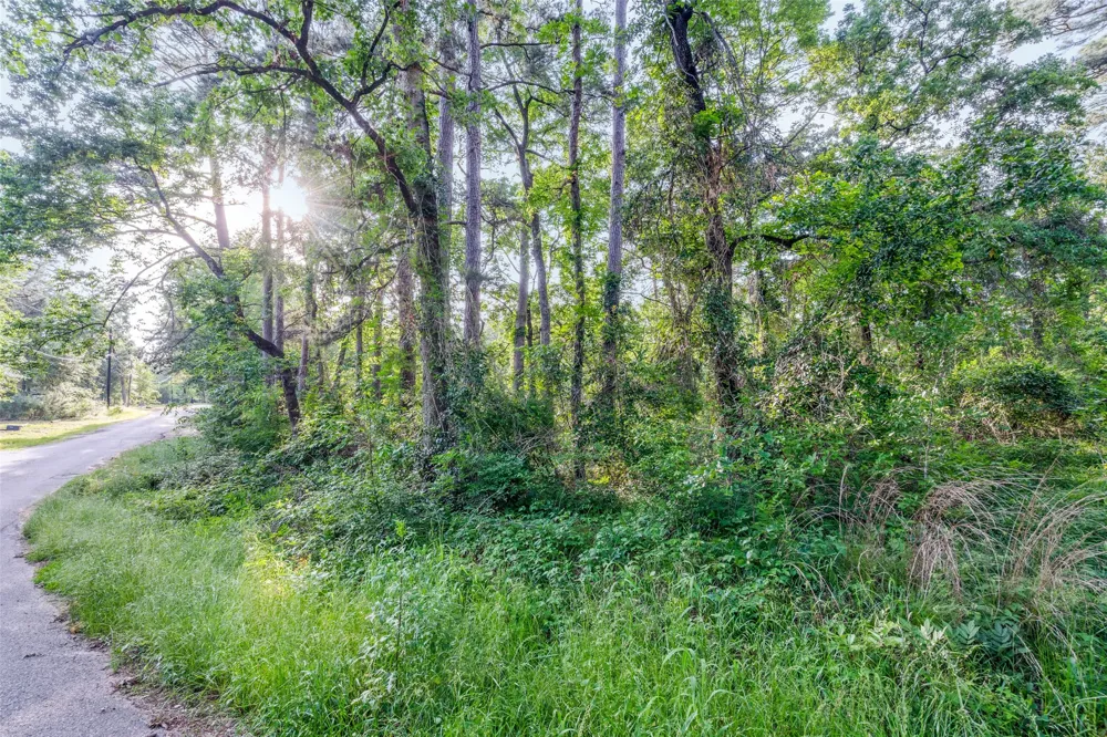 7631 Forest Hill Drive Frankston, TX 75763