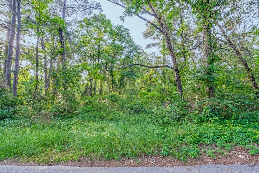 7631 Forest Hill Drive Frankston, TX 75763