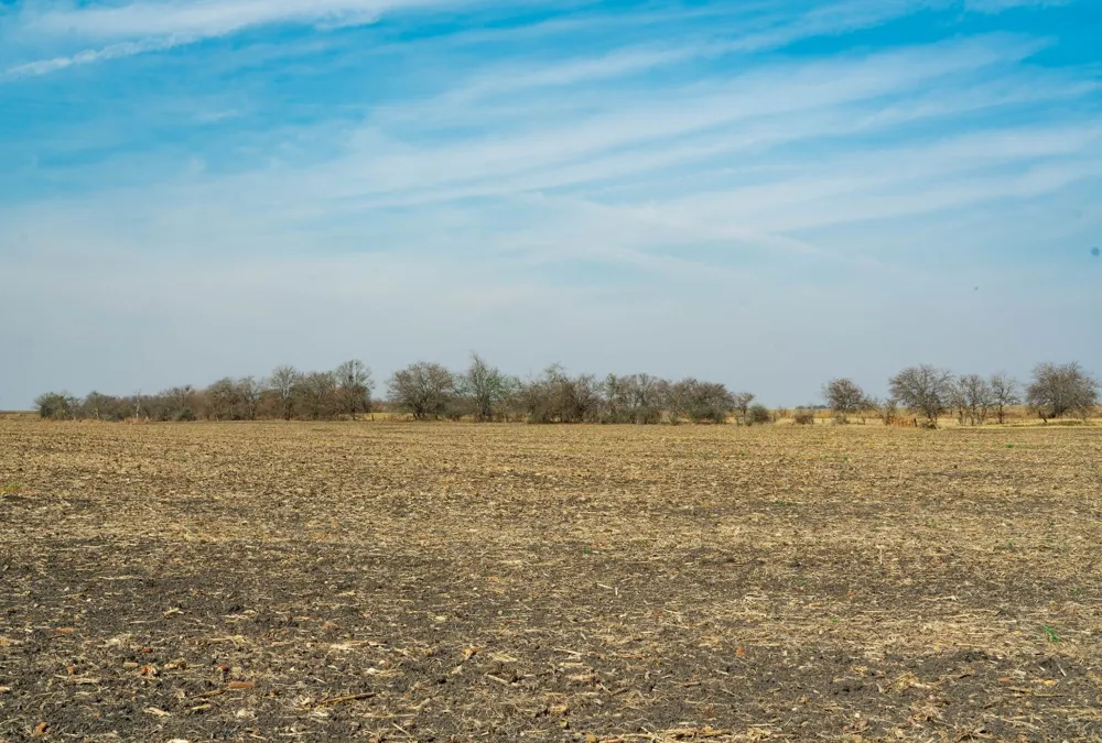18402 Manda Carlson Road Coupland, TX 78615