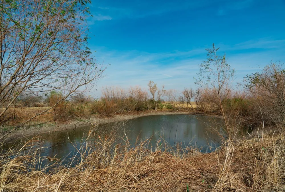 18402 Manda Carlson Road Coupland, TX 78615