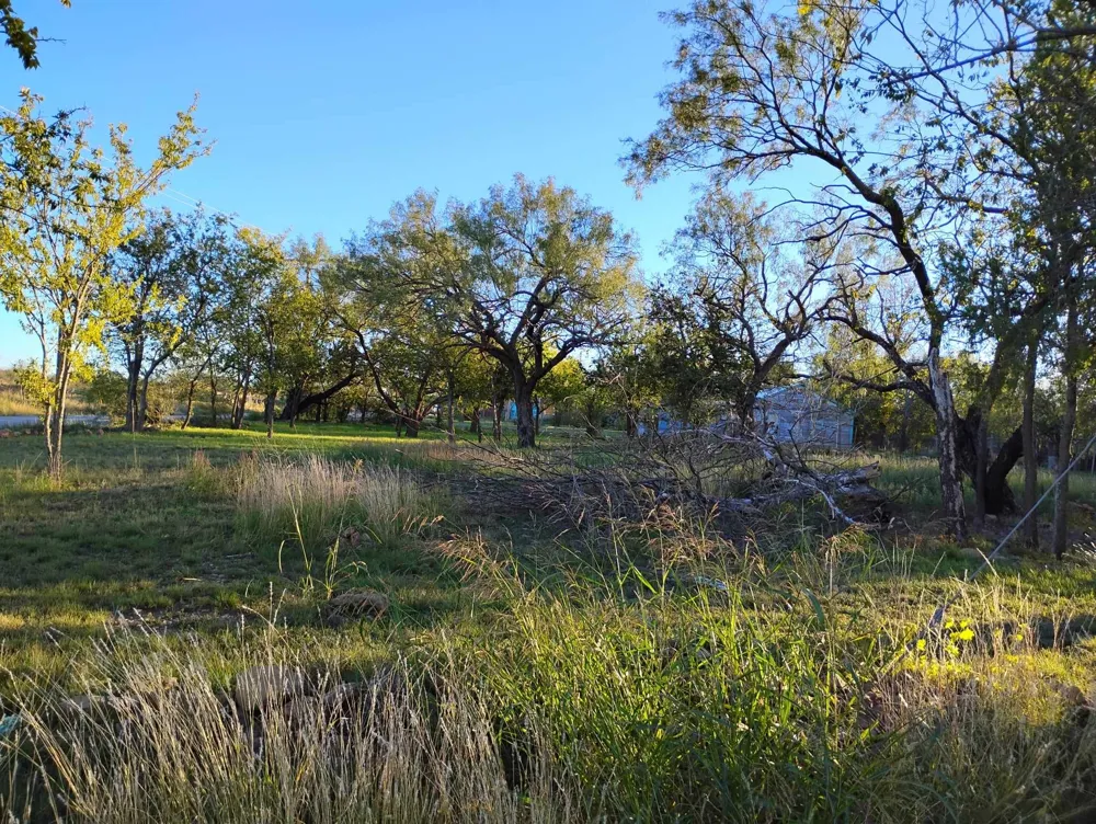 816 E 3RD STREET Coleman, TX 76834
