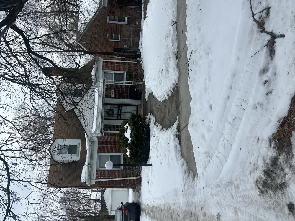 20178 Appoline Street