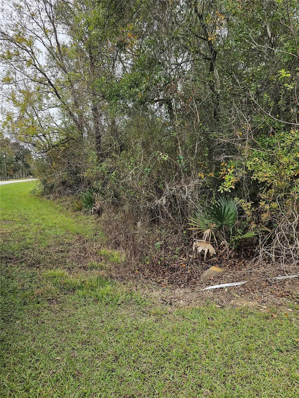 1070 County Road 136 / Live Oak Van Vleck, TX 77482
