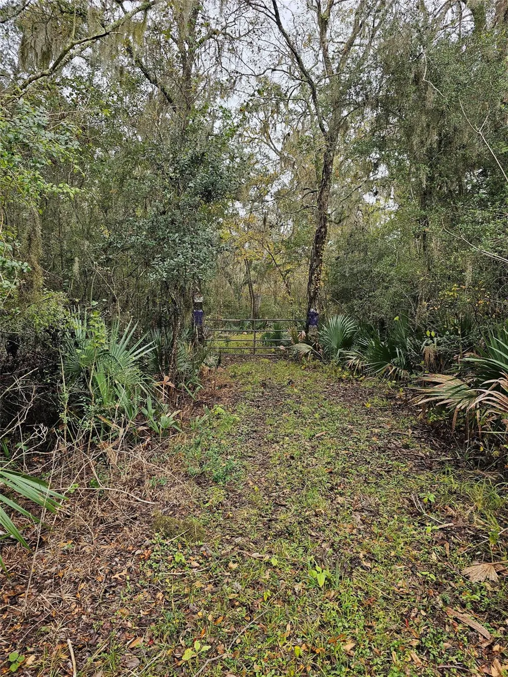 1070 County Road 136 / Live Oak Van Vleck, TX 77482
