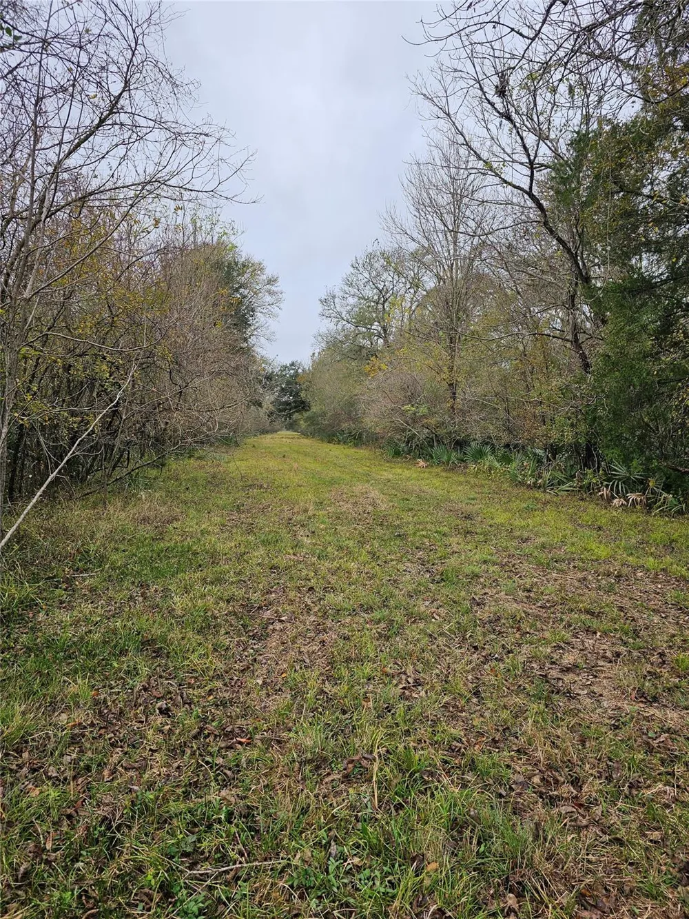 1070 County Road 136 / Live Oak Van Vleck, TX 77482