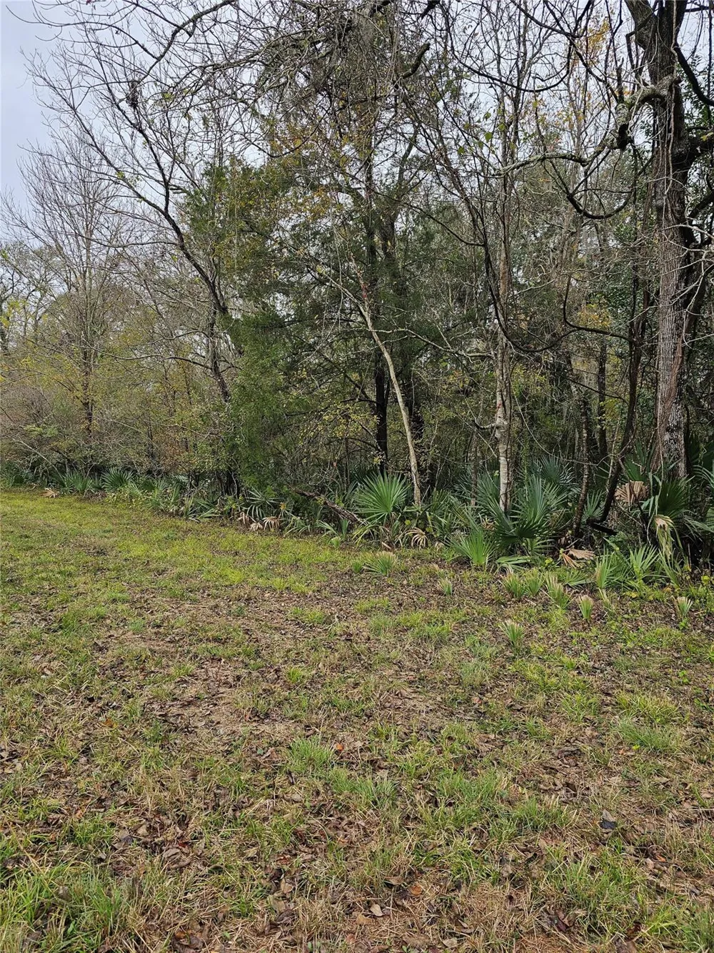 1070 County Road 136 / Live Oak Van Vleck, TX 77482